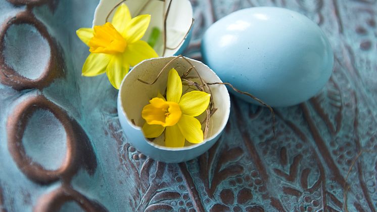 ​10 tips inför påsken med minipåskliljan ’Tête-à-tête’