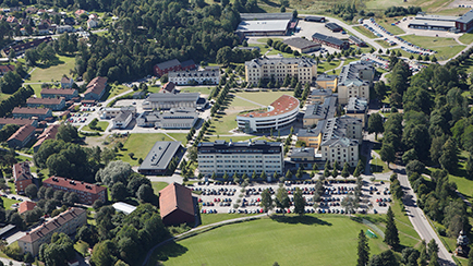 Högskolan i Gävles nya hedersdoktorer