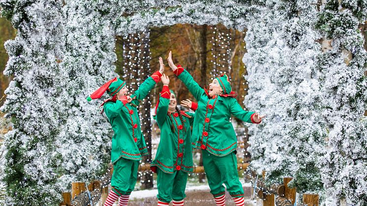 Santa's elves jump for joy as Winter Wonderland opens at Center Parcs Longford Forest