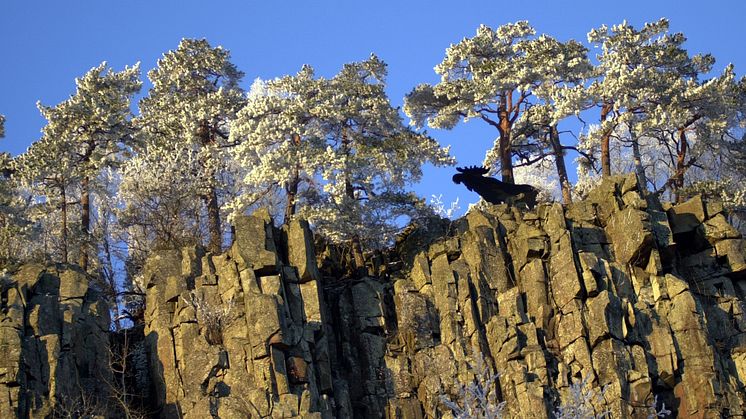 Platåbergens Geopark där Halle- och Hunneberg ingår kan bli godkända som Sveriges första Unesco globala geopark.