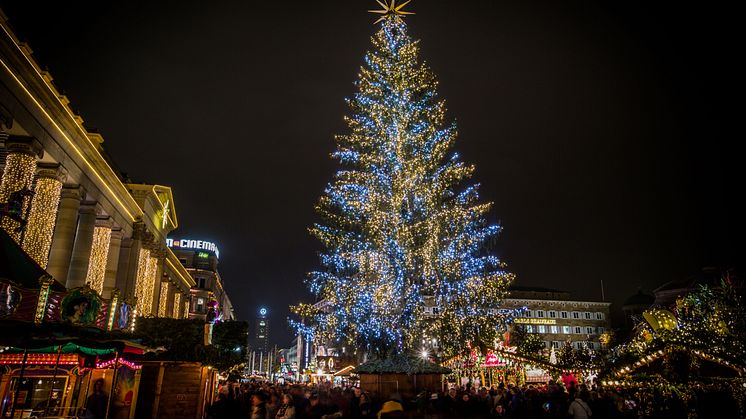 8. Weihnachtsbaum in Stuttgart