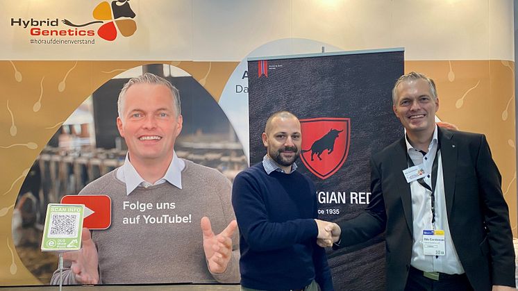 Geno's Regional Sales Manager, EMEA, Diego Galli and Hybrid Genetics's Founder & Owner, Udo Carstensen confirm distributor partnership for Norwegian Red genetics in Germany and Austria.