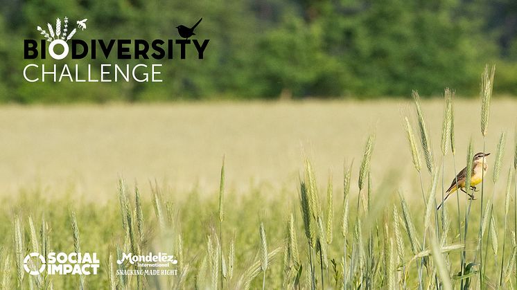 Biodiversity Challenge von Mondelez Deutschland: Das sind die Gewinner*innen!