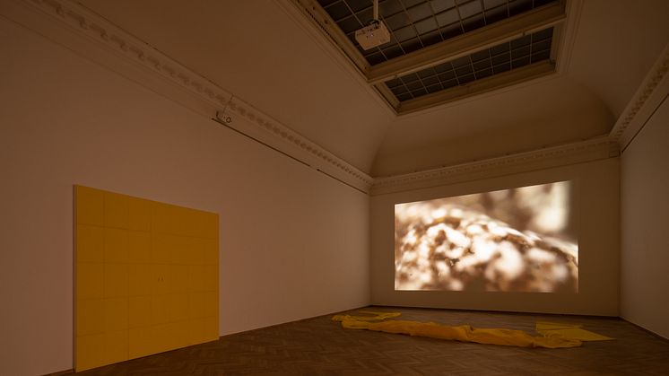 Lea Porsager, SENSITIVE WALL ()() & SENSITIVE WALL ()(), 2021. MIGHTY RUSHED EXPERIMENT, 2020. 