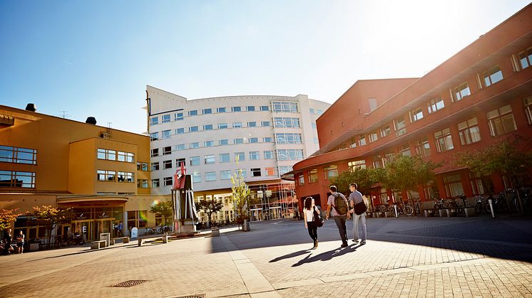 Stor ökning av internationella studenter till Jönköping University