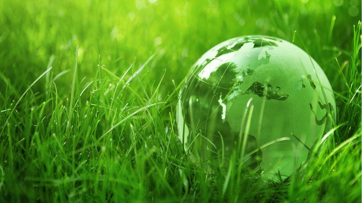 Environment: glass globe in the grass. Royalty-free stock photo ID: 84255913.