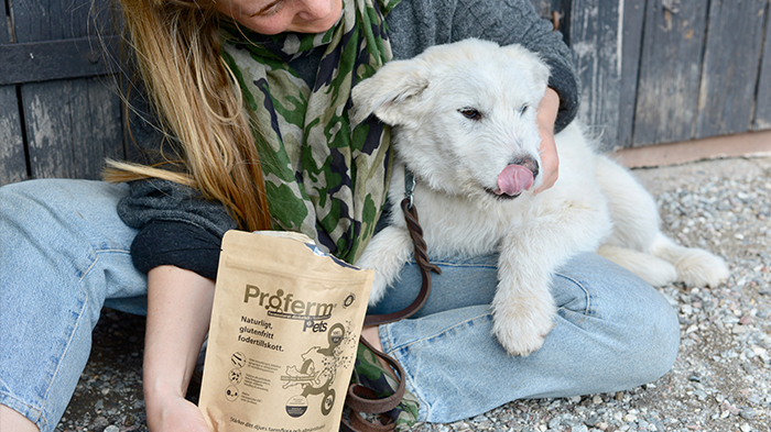 Proferm® Pets nytt pre- och probiotiskt fodertillskott för husdjur