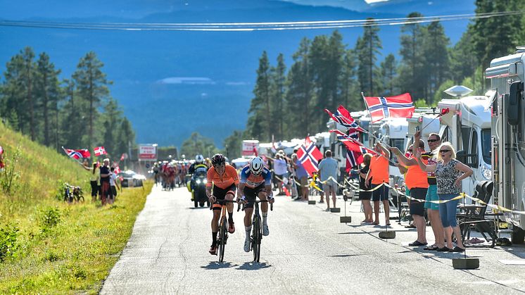 Arcitc Race of Norway går i år gjennom Finnmark. Arrangører håper at det 10. rittet blir en folkefest som tidligere år.