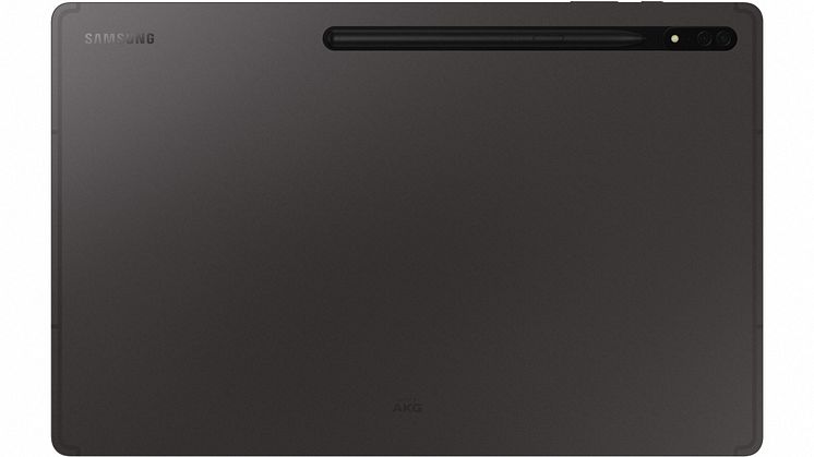 3-01 Galaxy Tab S8 Ultra_Graphite_Back With S Pen_HI.jpg