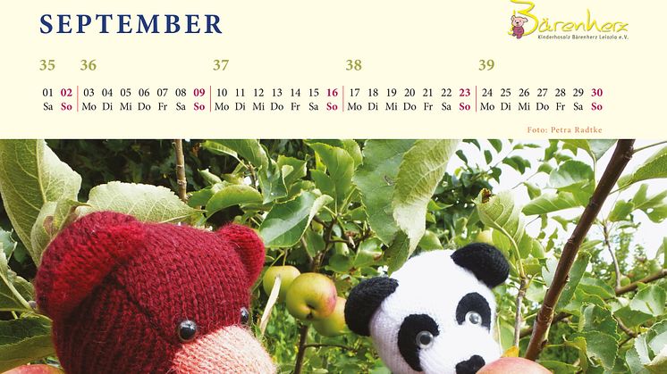  Mit Bärenherz durchs Jahr 2018 - Der neue Bärenherz-Kalender 