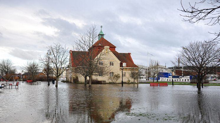 Bilden, från 2015, visar översvämning i centrala Uddevalla när hela Teaterplantagen runt gamla badhuset översvämmades. Foto: Tomas Brandt, Bohusläns museum / CC BY. 