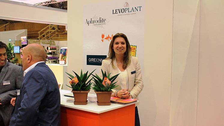 Dutch exhibitors test the Swedish market 