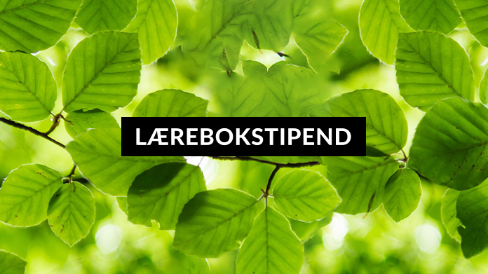 Mynewsdesk-Lærebokstipend-spring-edition