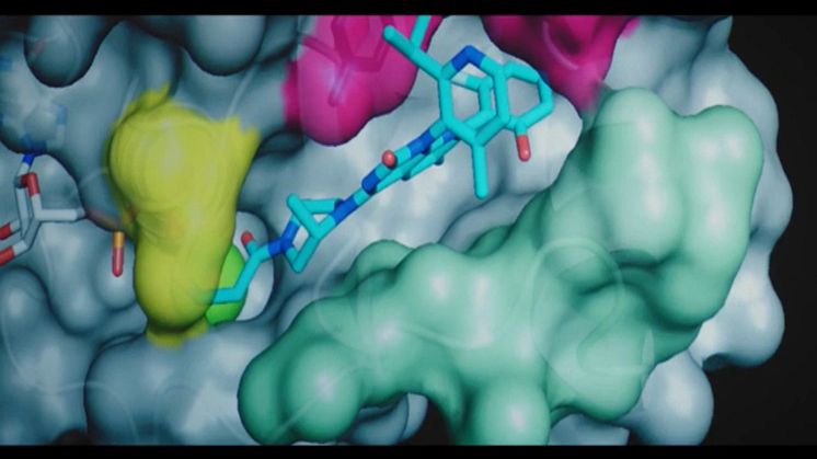 Lumykras (sotorasib) är en småmolekylhämmare som selektivt och irreversibelt binder till cystein 12 (C12) på det muterade KRAS G12C-proteinet.