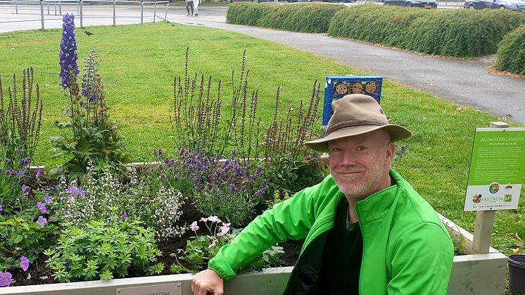 Trädgårdsmässan är tillbaka med inspirerande trädgårdar och alternativa, klimatsmarta odlingar