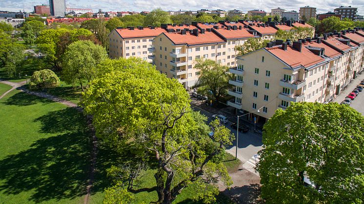 Med närmare 800 lägenheter är HSB brf Fredhäll på Kungsholmen en av landets största bostadsrättsföreningar.