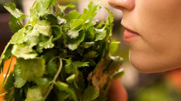 Global study: How does COVID-19 impact sense of smell and taste? (Image: Shutterstock)