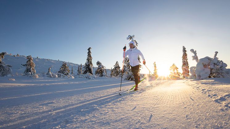 Team SkiStar Charlotte Kalla deltar i Vasaloppets Stafettvasa fredag 1 mars med första start kl.07:00.