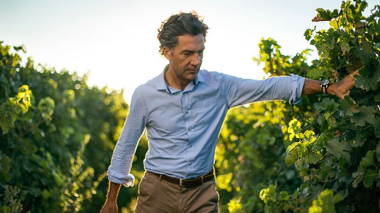 Domaines Paul Mas har närmare 1 000 hektar vingårdar och arbetar för att konvertera alla vingårdar till ekologisk odling till år 2023, alla viner som produceras idag är veganvänliga. 