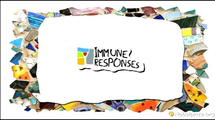 1-minute informational video about Immune Responses