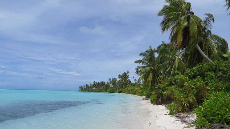 Mainadhoo island, one of the islands included in the study (Photo credit: Holly East)
