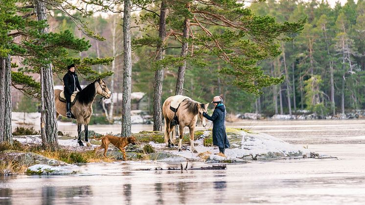 Naturturismföretaget Ösjönäs erbjuder bland annat turridning i Tivedens nationalpark. Foto: Jesper Anhede.