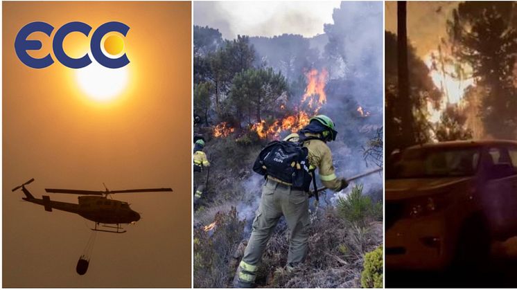 Devastation:  Wildfire in Estepona destroys over 10,000 hectares of forest land and property