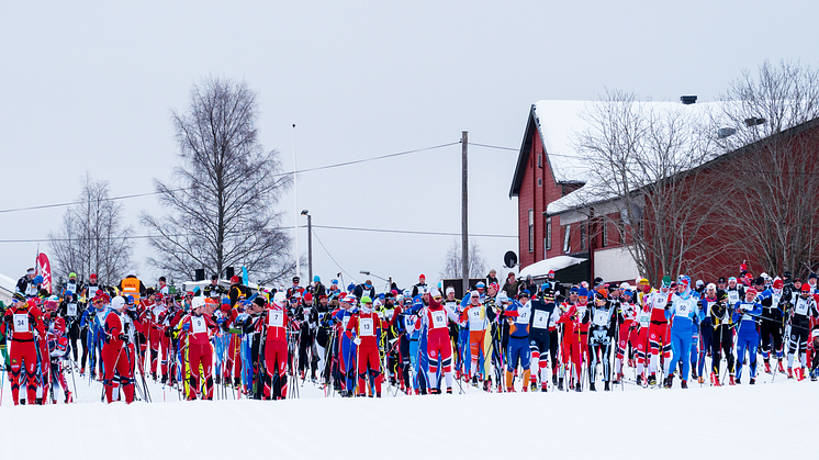I 2018 stod det drøyt 500 menn og kvinner på startstreken under Trysil Skimaraton. Foto: Jonas Sjögren