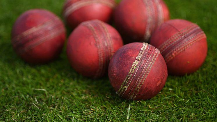 ​Update on return to play for men's and women's domestic cricket