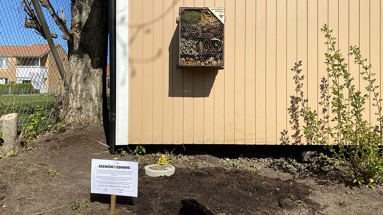 Barnens invigda insektshotell och insektsbad på Ängelholmshems bostadsområde Kulltorp.