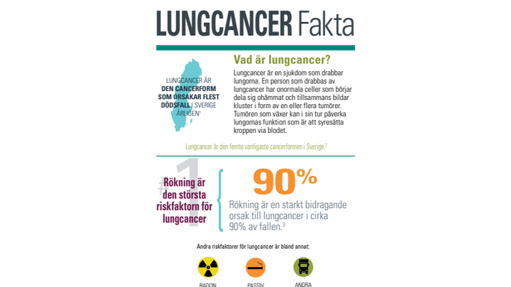 Nyhetsgrafik med fakta om lungcancer