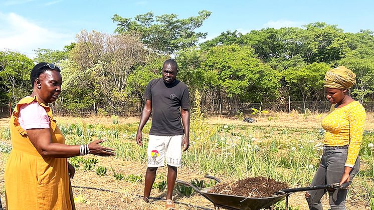 Tagung für Ausbildnerinnen und Ausbilder in biodynamischer Landwirtschaft in Zimbabwe (Kufunda Village) 2022 (Foto: Maaianne Knuth)