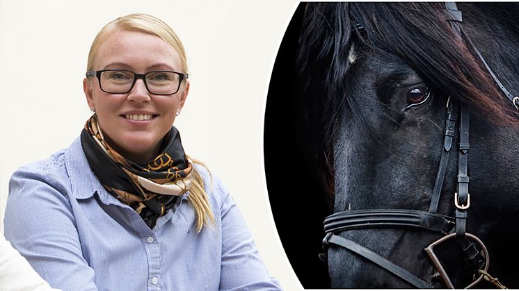 Devgarden Europalanserar digital plattform för hästbranschen