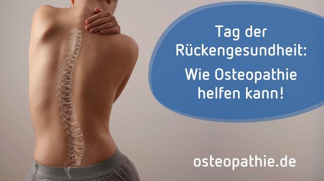 Osteopathie und Rückenschmerzen: Mit der Hand an der Ursache / Verband der Osteopathen zum Tag der Rückengesundheit am 15. März 2024 