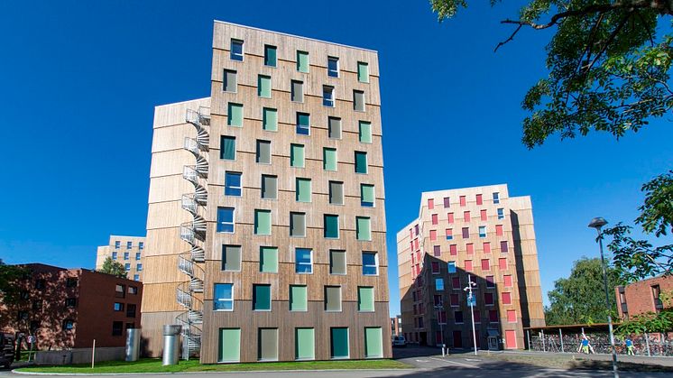 Moholt 50 | 50, Trondheims neuestes Studentenwohnheim, ist Europas größtes Cross Laminated Timber (CLT). Das stylische und elegante Bauwerk hat eine nachhaltige Kebony Fassade 
