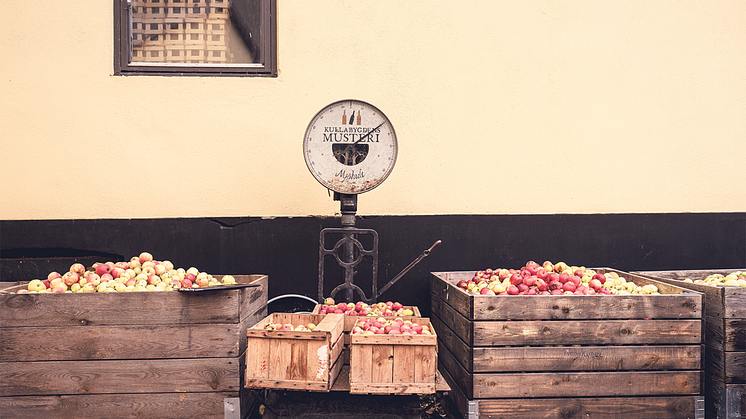 Äppelinlämningen på Kullamust i Mjöhult, här har bygdens äpplen tagit emot sedan 1929.