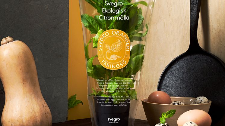 Svegro Vilda Smaker - ekologisk citronmålla_miljöbild