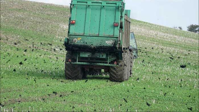 SVU-rapport 2014-12: Organiska miljögifter i sockerbetor och blast odlade på mark gödslad med kommunalt avloppsslam (avlopp och miljö)