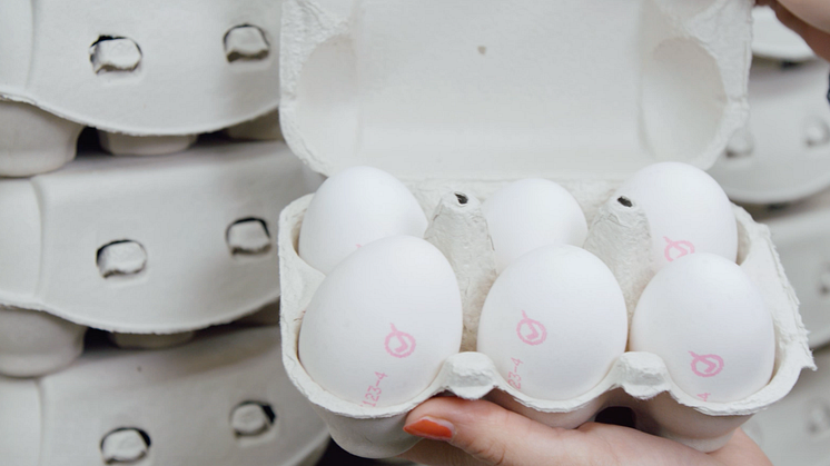 Vi äter allt mer svenska ägg  – enligt färska siffror från Jordbruksverket