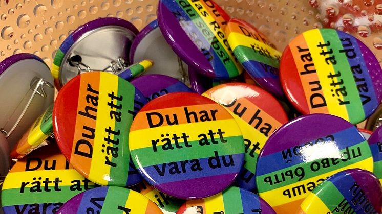 Pins från Västerbottens biblioteks inkluderingsarbete med hbtq i fokus