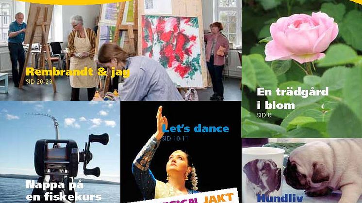 Studiefrämjandets vår- och sommarprogram 2011 - Vårens kurstrend – dans, dans och åter dans