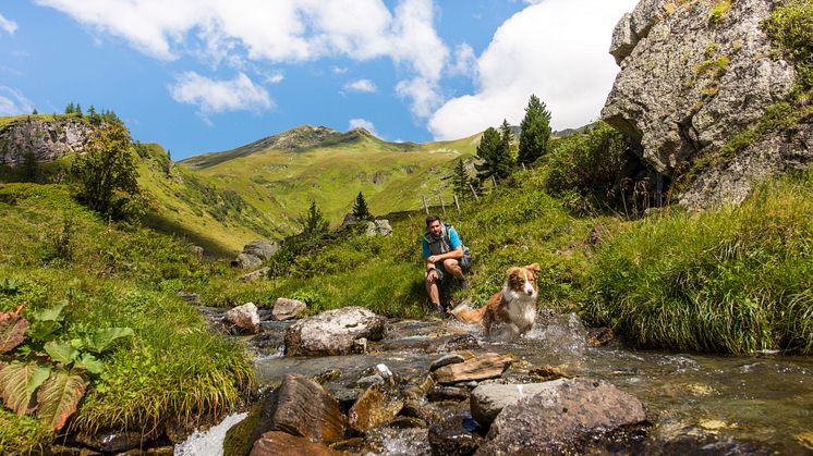 Wandern ist für Hunde ein spannendes Erlebnis. Zum Beispiel im Naturpark Hohe Tauern in Kärnten. (Foto: Kärnten Werbung, Franz Gerdl)
