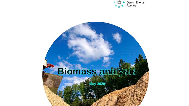 Biomass analysis has been translated into English