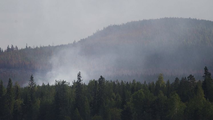 Foto från skogsbranden i Hälsingland 2018. Bilden är tagen i Ljusdals kommun i närheten av Ängra och Huskölen. FOTO: TT