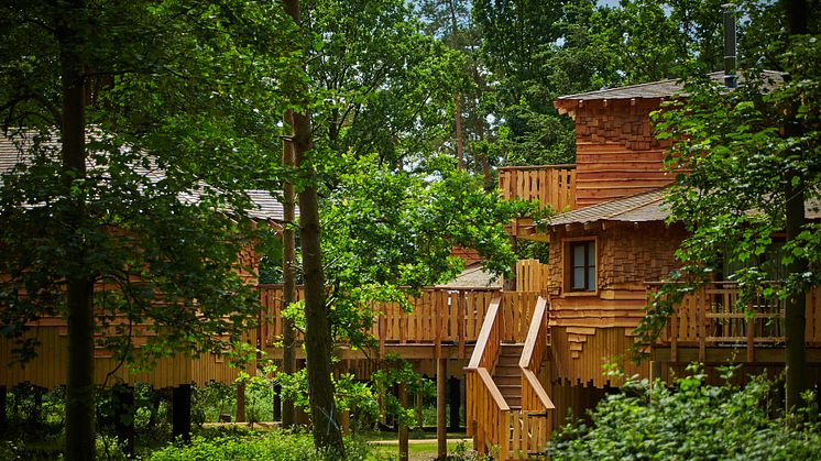 Treehouse accommodation