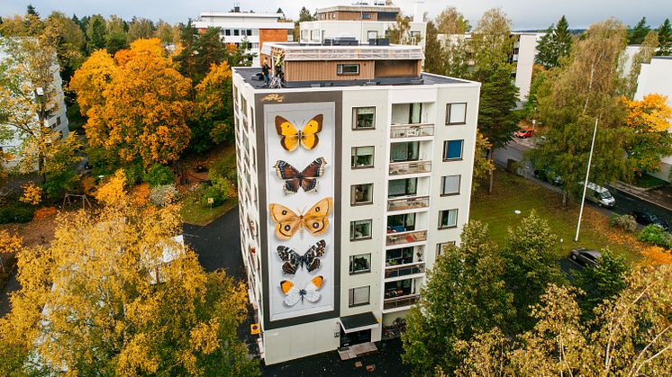 Mantra maalasi näyttävän perhosmuraalin Hyvinkään keskustaan UPEA18-taidefestivaalissa. Kuva: Iiro Rautiainen. 