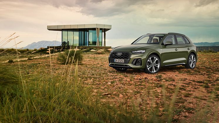Audi Q5 2020 (Distriktgrøn)