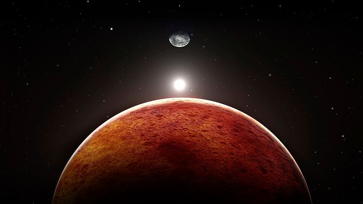 COMMENT: Mars: why contamination and planetary protection are key to any search for life