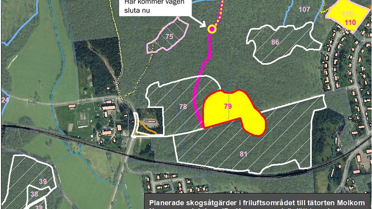 Karta över planerade skogsåtgärder i Molkom inklusive ändringar. 