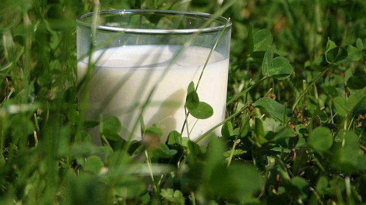 Arla Foods amba confirms unchanged February milk price